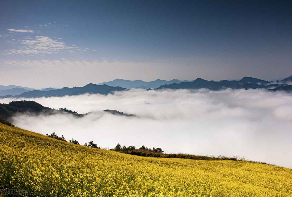 淮南涂塑热浸塑钢管销售 淮南涂塑热浸塑钢管销售
